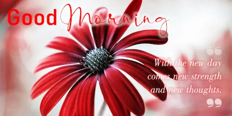 Good Morning android App screenshot 8